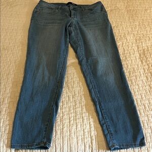 1822 Denim Women's Blue Classic Skinny Jeans